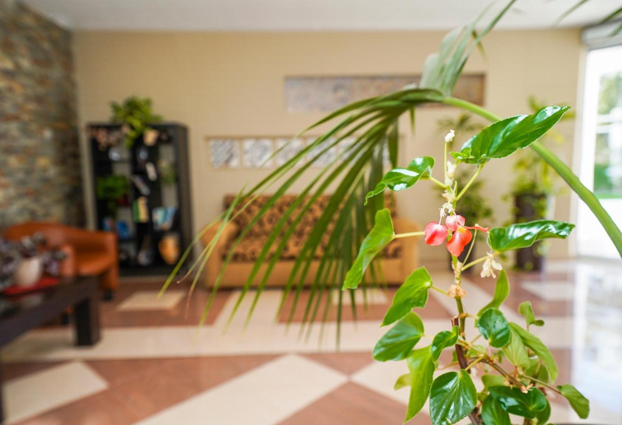 Hotel Pradillo Conil コニル・デ・ラ・フロンテラ エクステリア 写真